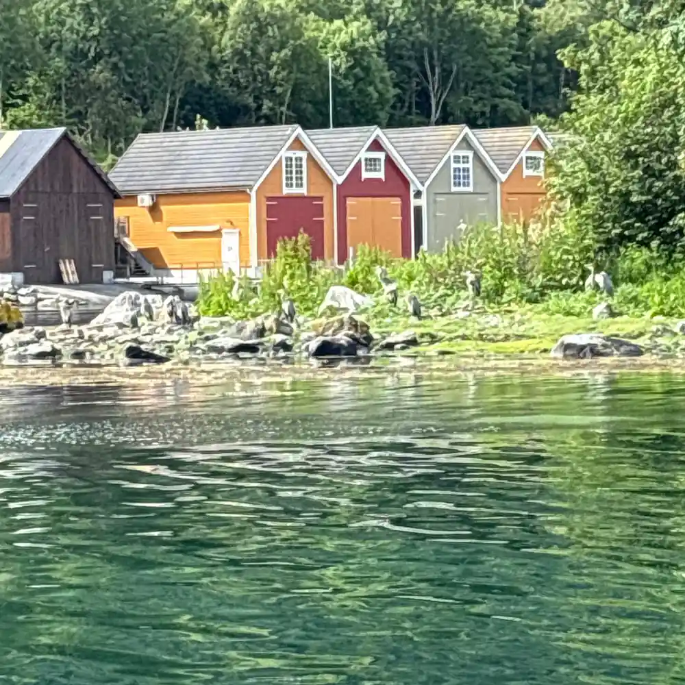 Colorful wooden boathouses along green forest shoreline