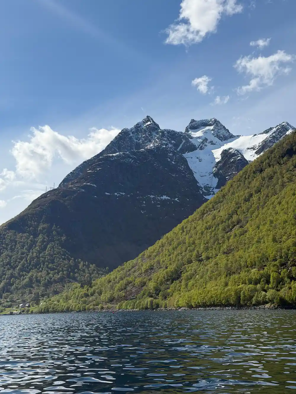 Green forested mountains rising from calm blue fjord