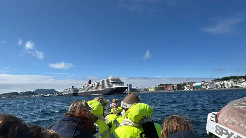 Large cruise ship anchored in blue water near coastal town